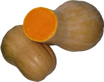 calabaza